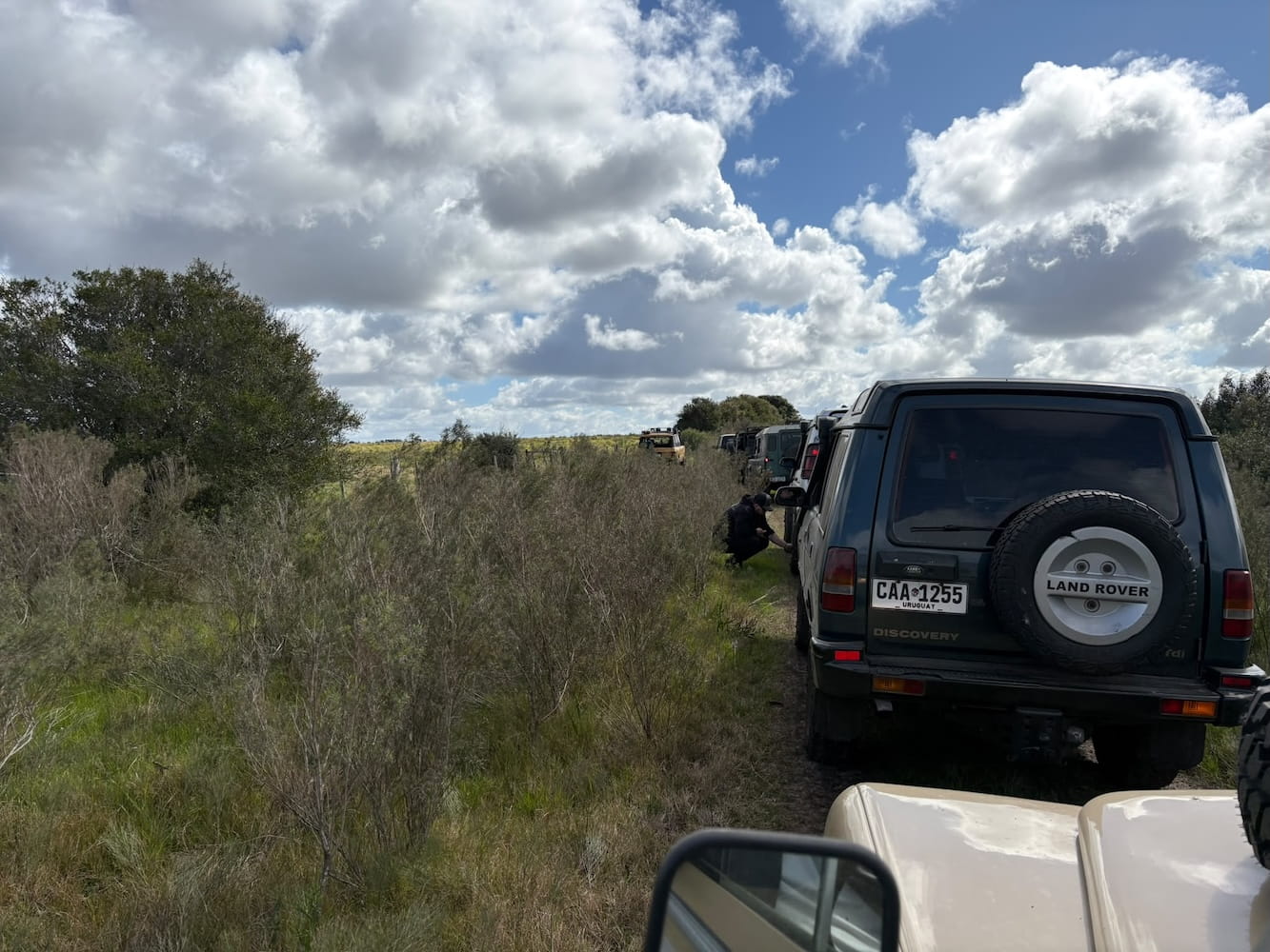 travesia-2026-la-floresta-03