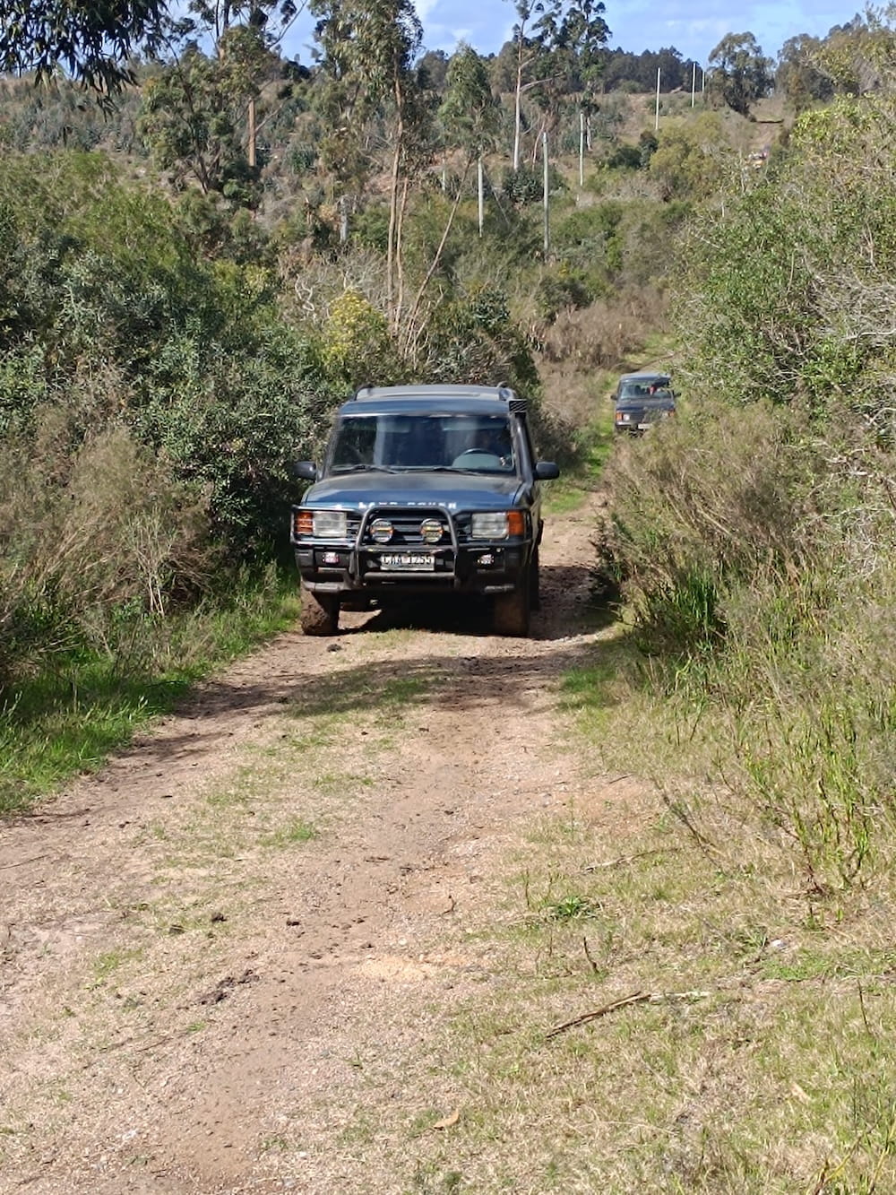 travesia-2026-la-floresta-18