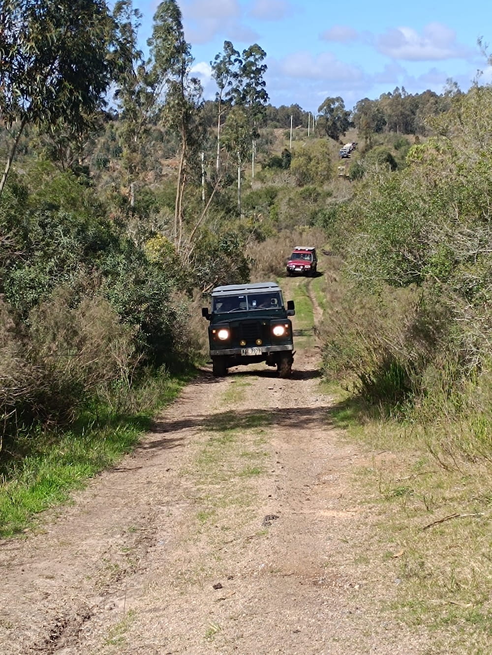 travesia-2026-la-floresta-20